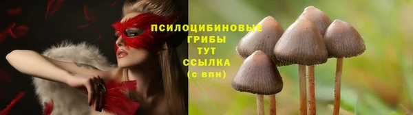 а пвп мука Нея