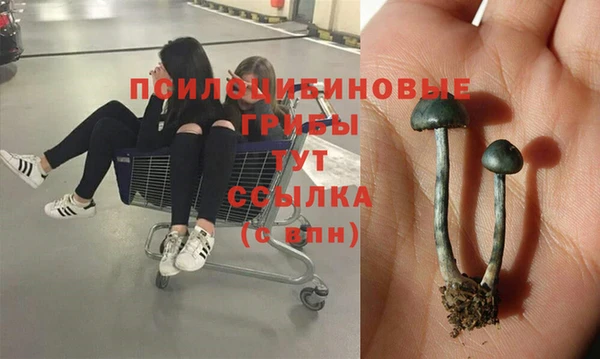 таблы Нефтегорск