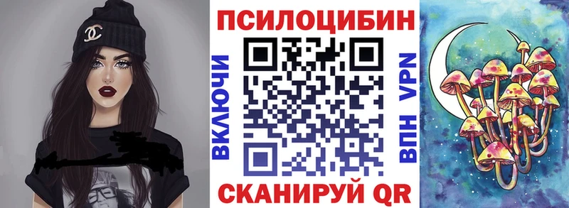 купить  цена  Лодейное Поле  mega ссылка  Псилоцибиновые грибы мицелий 